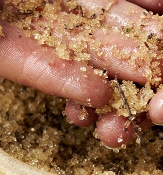body scrubs decoded hero