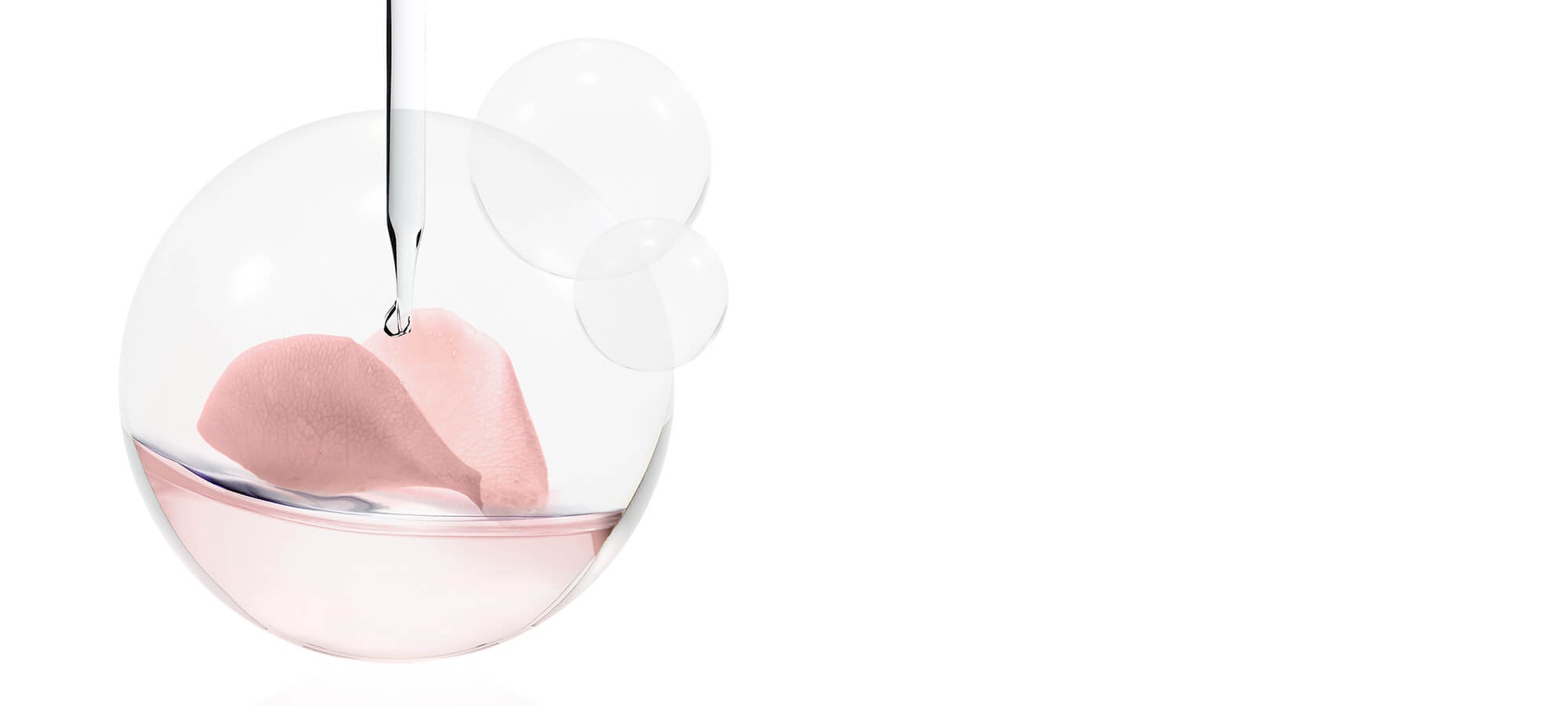 BANNERS_PIVOINE_20