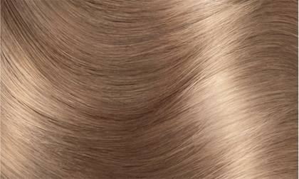 haircolor 81 light ash blonde excellence creme hair swatch